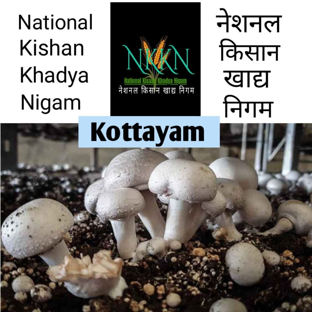 NKKN: National Kisaan Khadya Nigam Processing Unit in  Kottayam District of KERALA