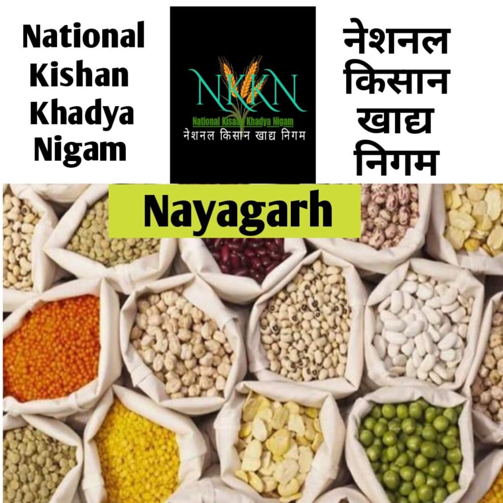 NKKN: National Kisaan Khadya Nigam Processing Unit in Nayagarh District  odisha